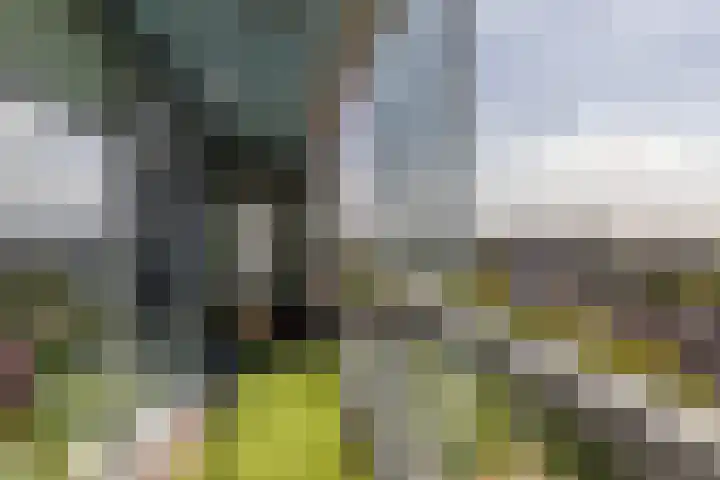 Kruisplein 746 Rotterdam thumbnail 9