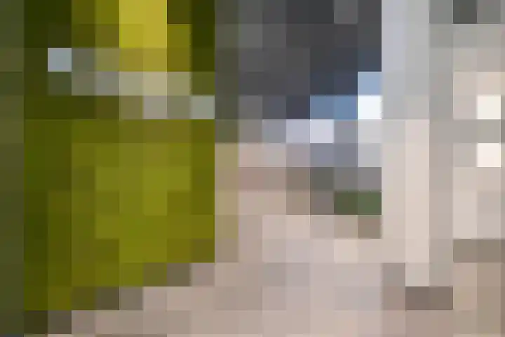 Kruisplein 770 Rotterdam thumbnail 10