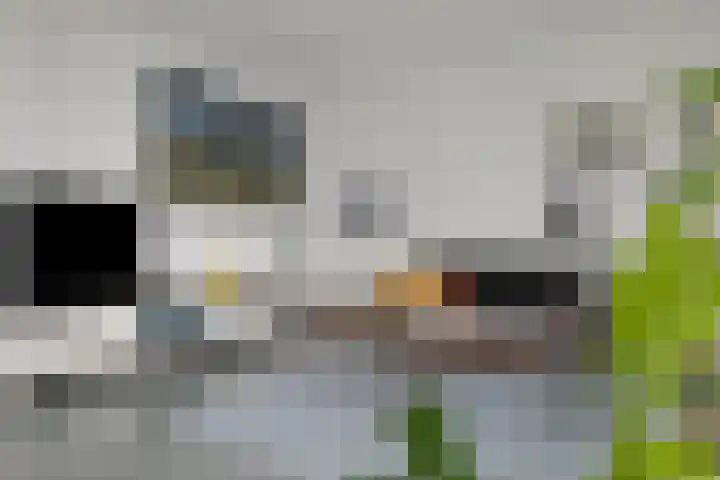 Kruisplein 770 Rotterdam thumbnail 17