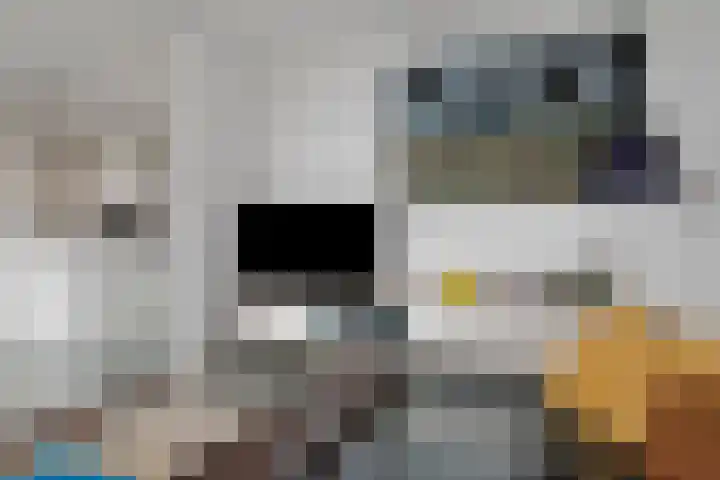 Kruisplein 770 Rotterdam thumbnail 18