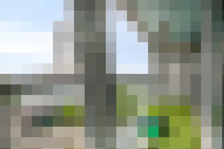 Kruisplein 770 Rotterdam thumbnail 31