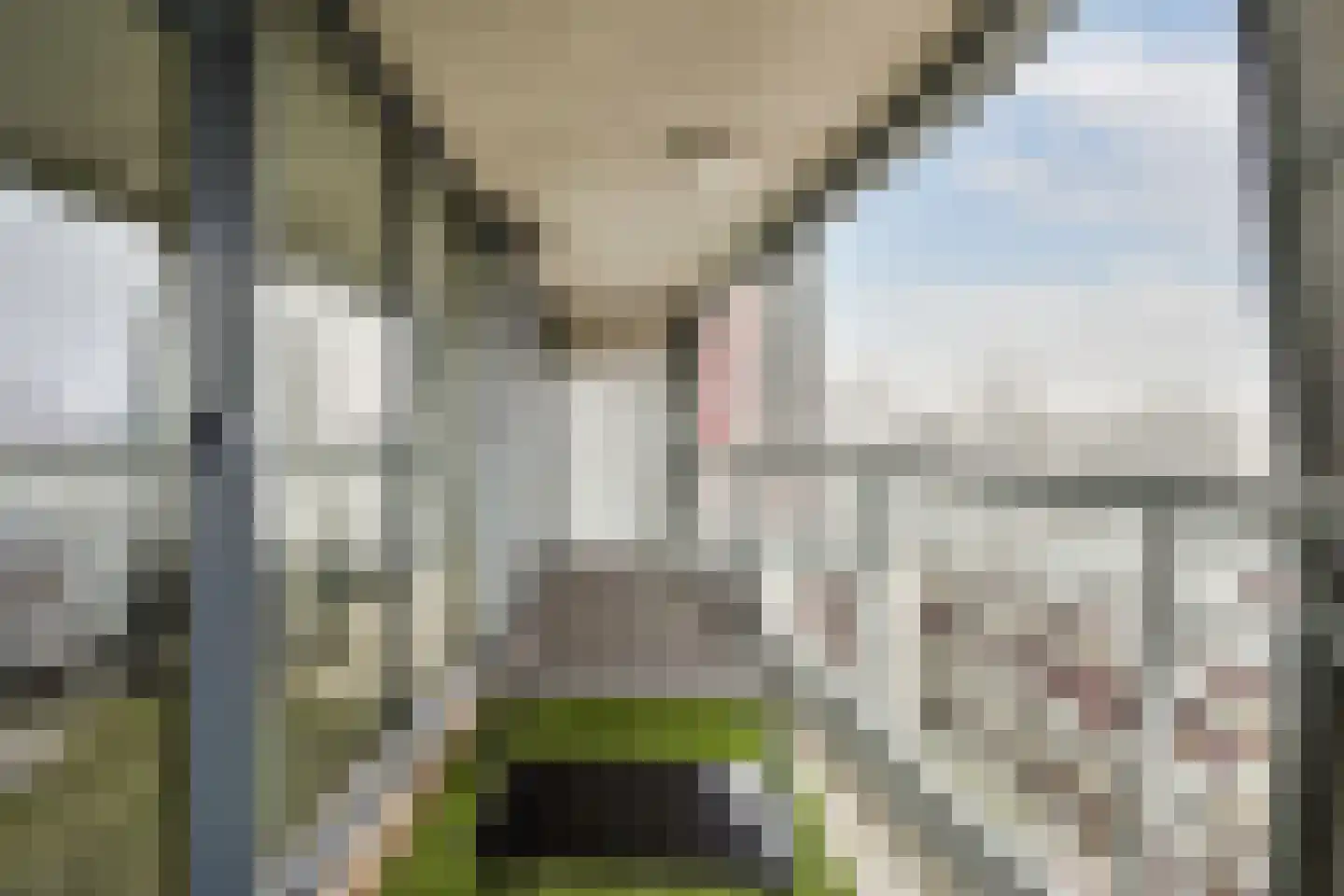 Kruisplein 788 Rotterdam thumbnail 14
