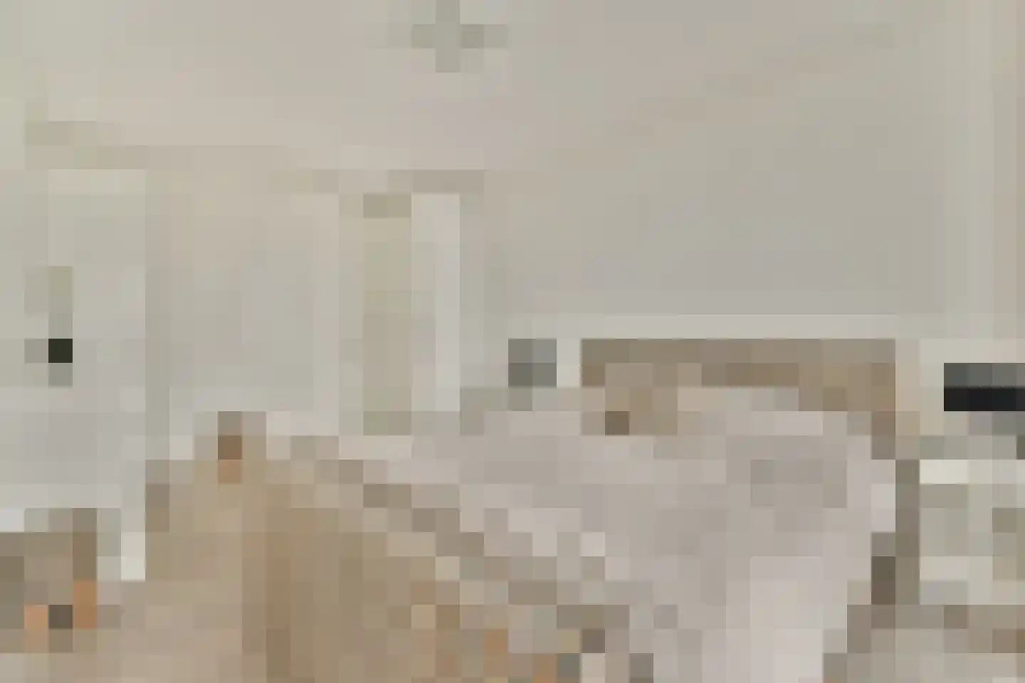 Kruisplein 788 Rotterdam thumbnail 15