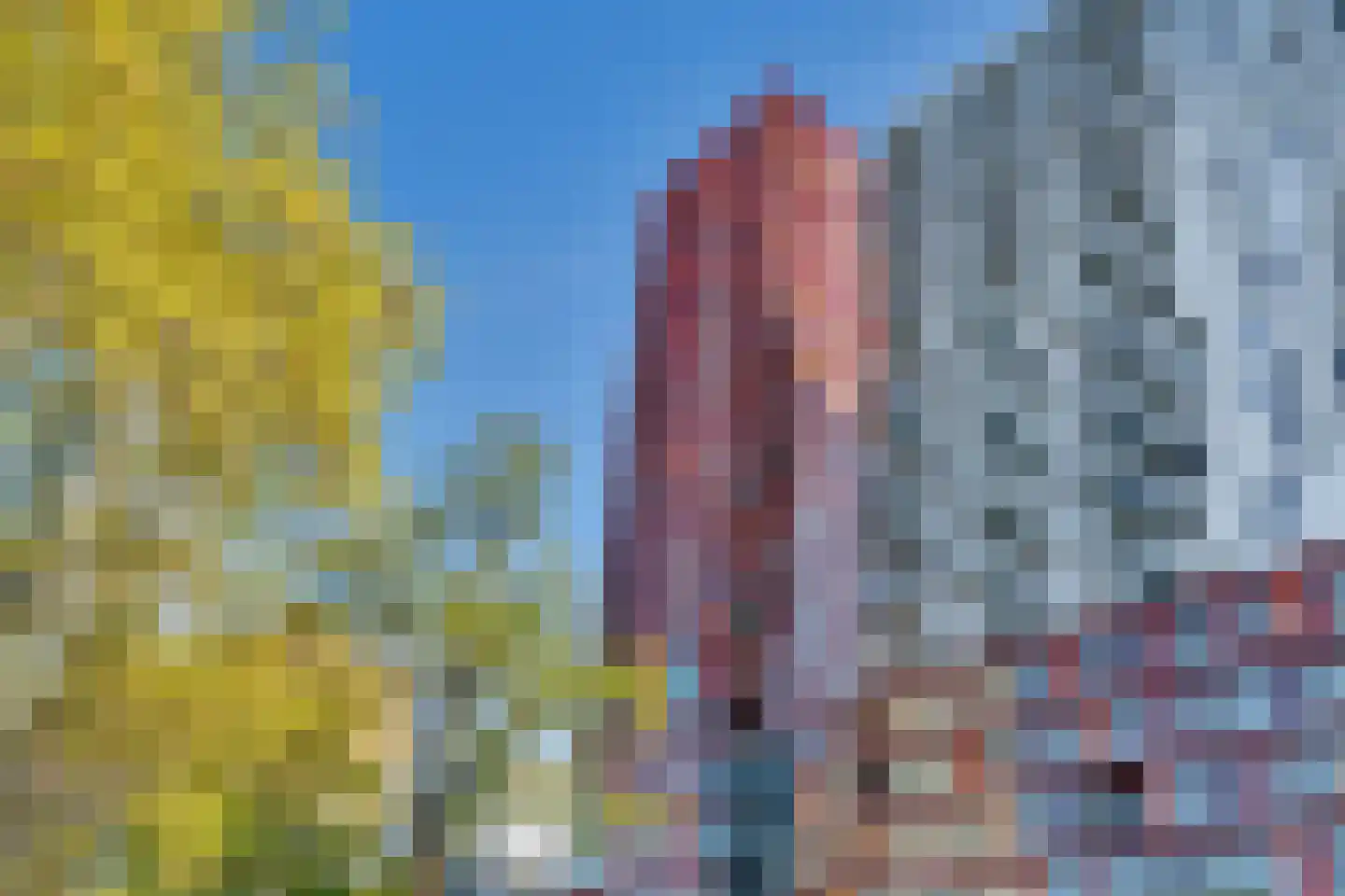 Kruisplein 796 Rotterdam thumbnail 34