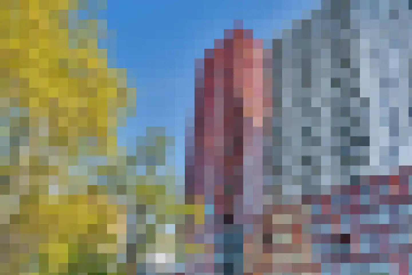 Kruisplein 796 Rotterdam thumbnail 35