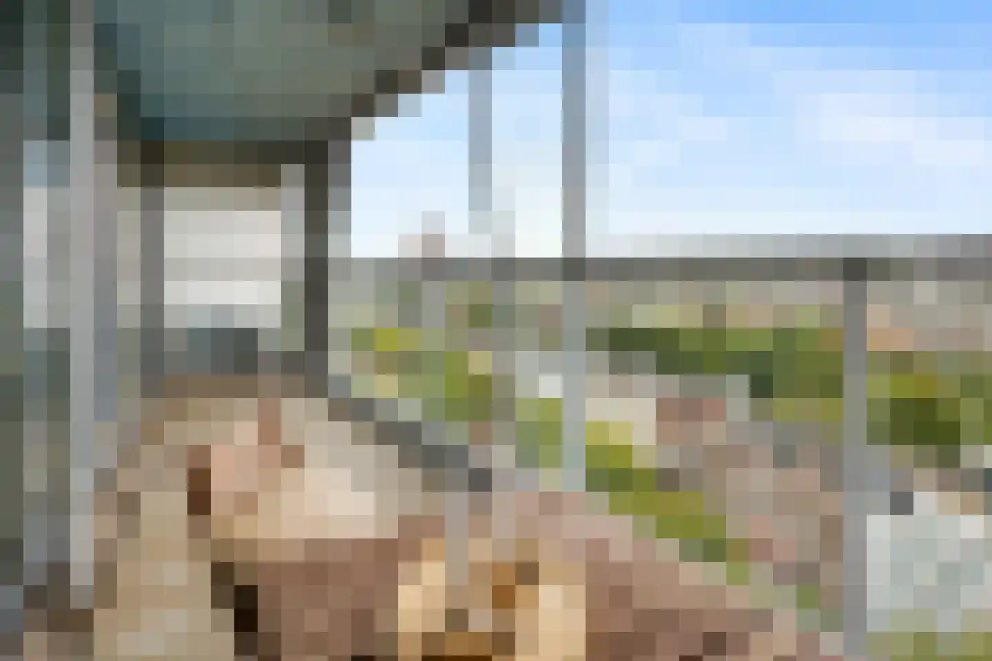 Kruisplein 854 Rotterdam thumbnail 15