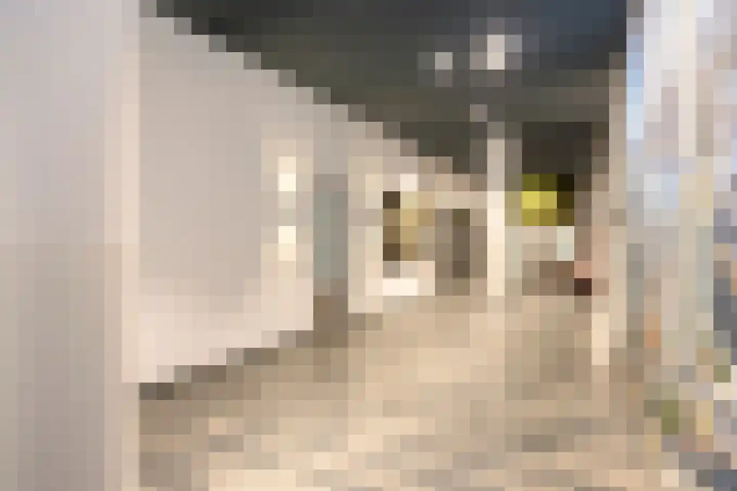 Kruisplein 942 Rotterdam thumbnail 7