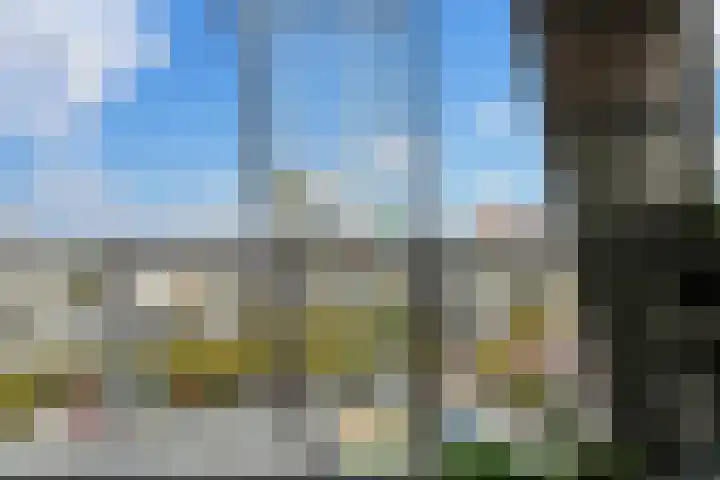 Kruisplein 982 Rotterdam thumbnail 26