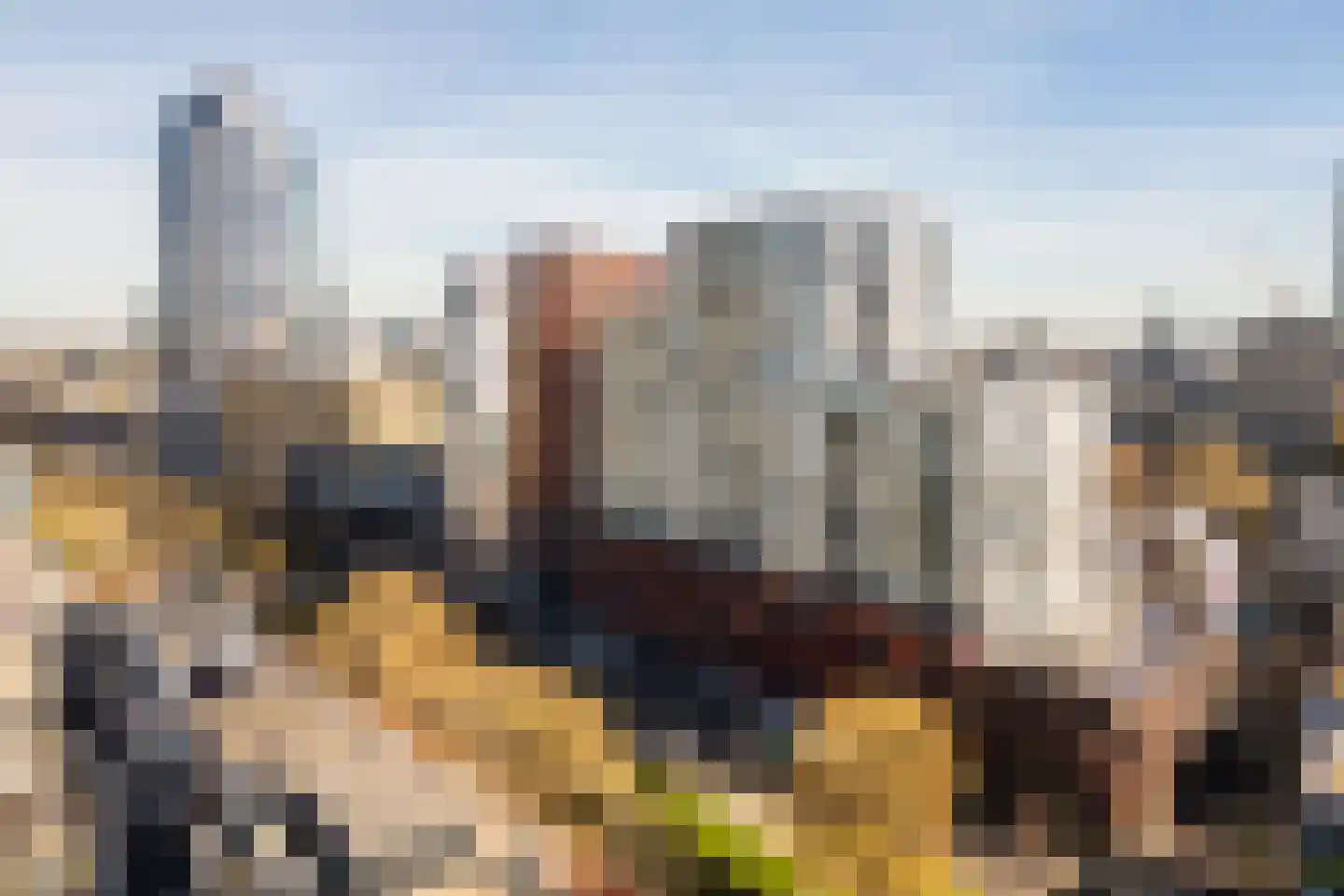 Kruisplein 986 Rotterdam thumbnail 37