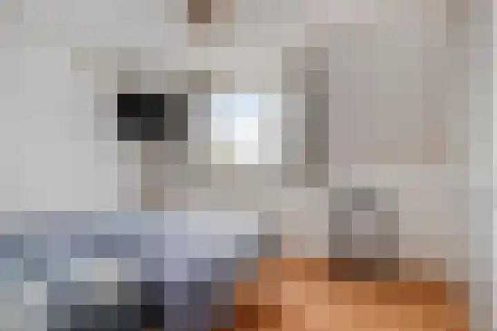 Kruispoort 11 Steenbergen thumbnail 24