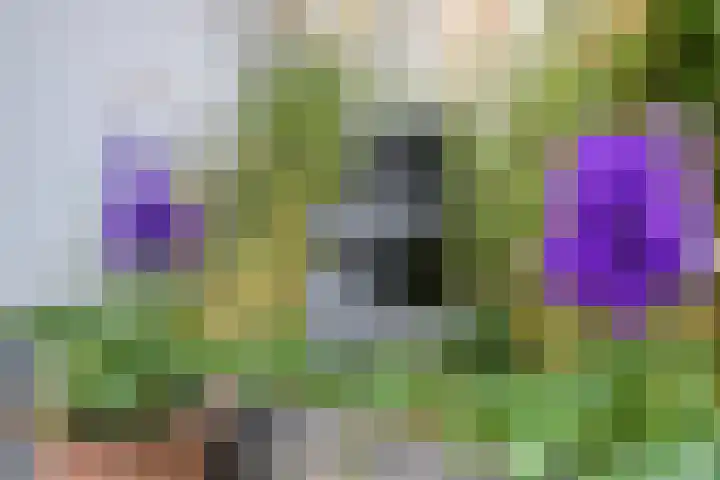 Kruispoort 11 Steenbergen thumbnail 38