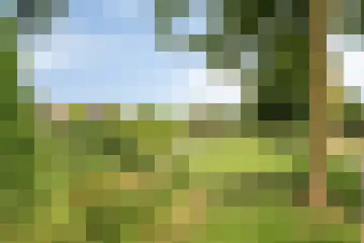 Kruispoort 11 Steenbergen thumbnail 47