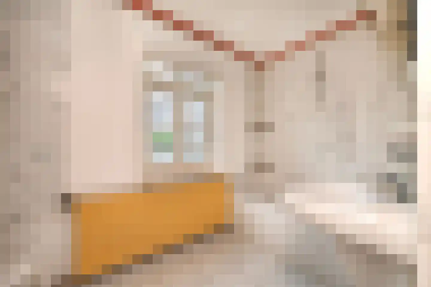Kruispoort 23 a Steenbergen thumbnail 28