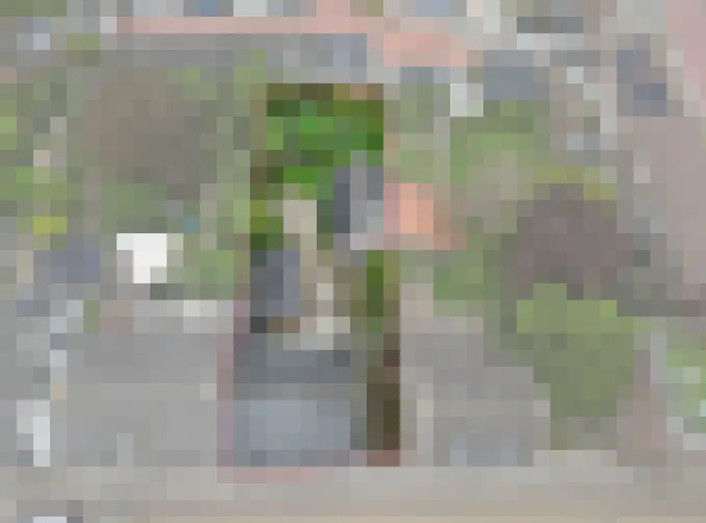 Kruispoort 23 a Steenbergen thumbnail 31