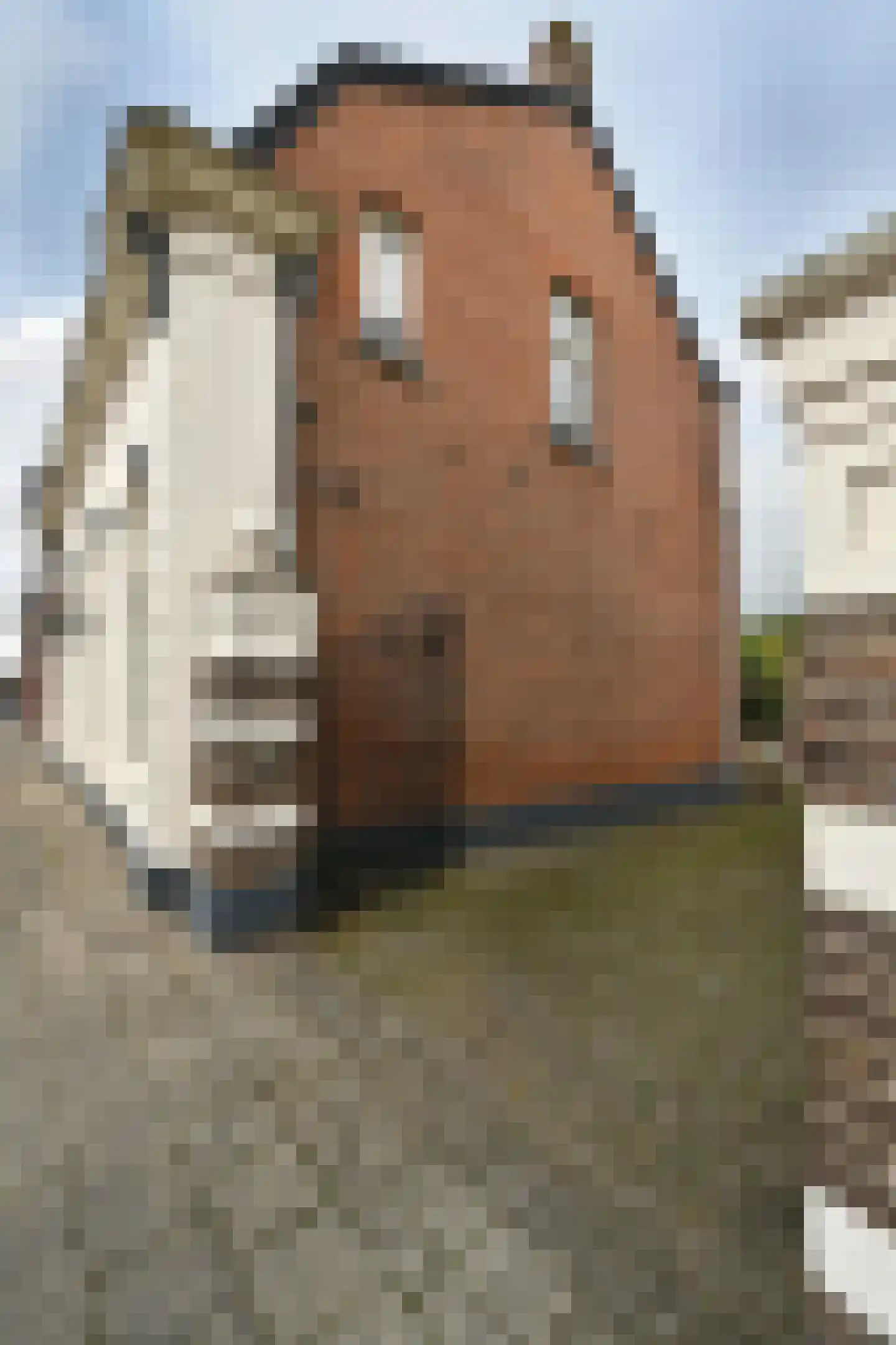Kruispoort 23 a Steenbergen thumbnail 33