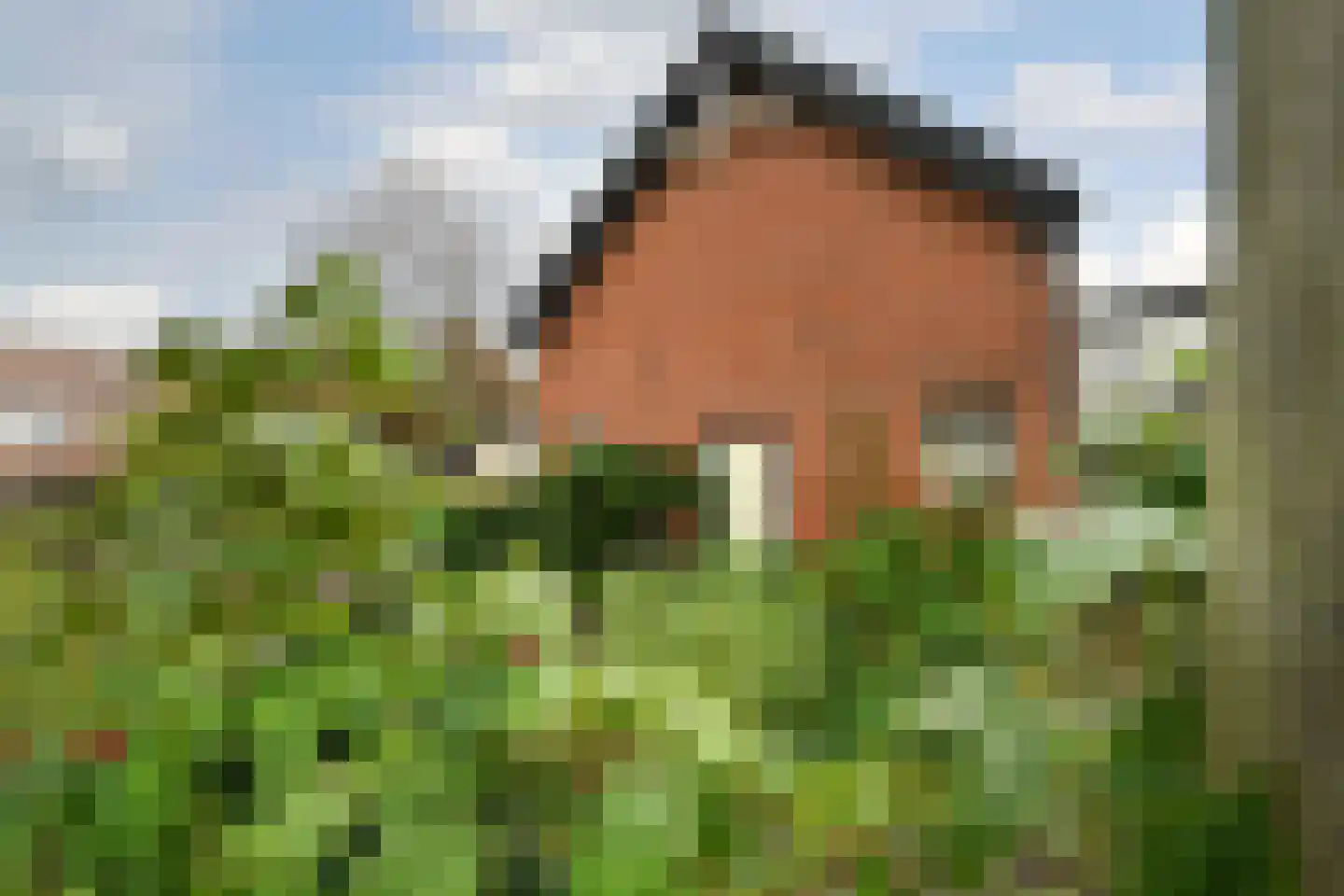 Kruispoort 23 a Steenbergen thumbnail 38