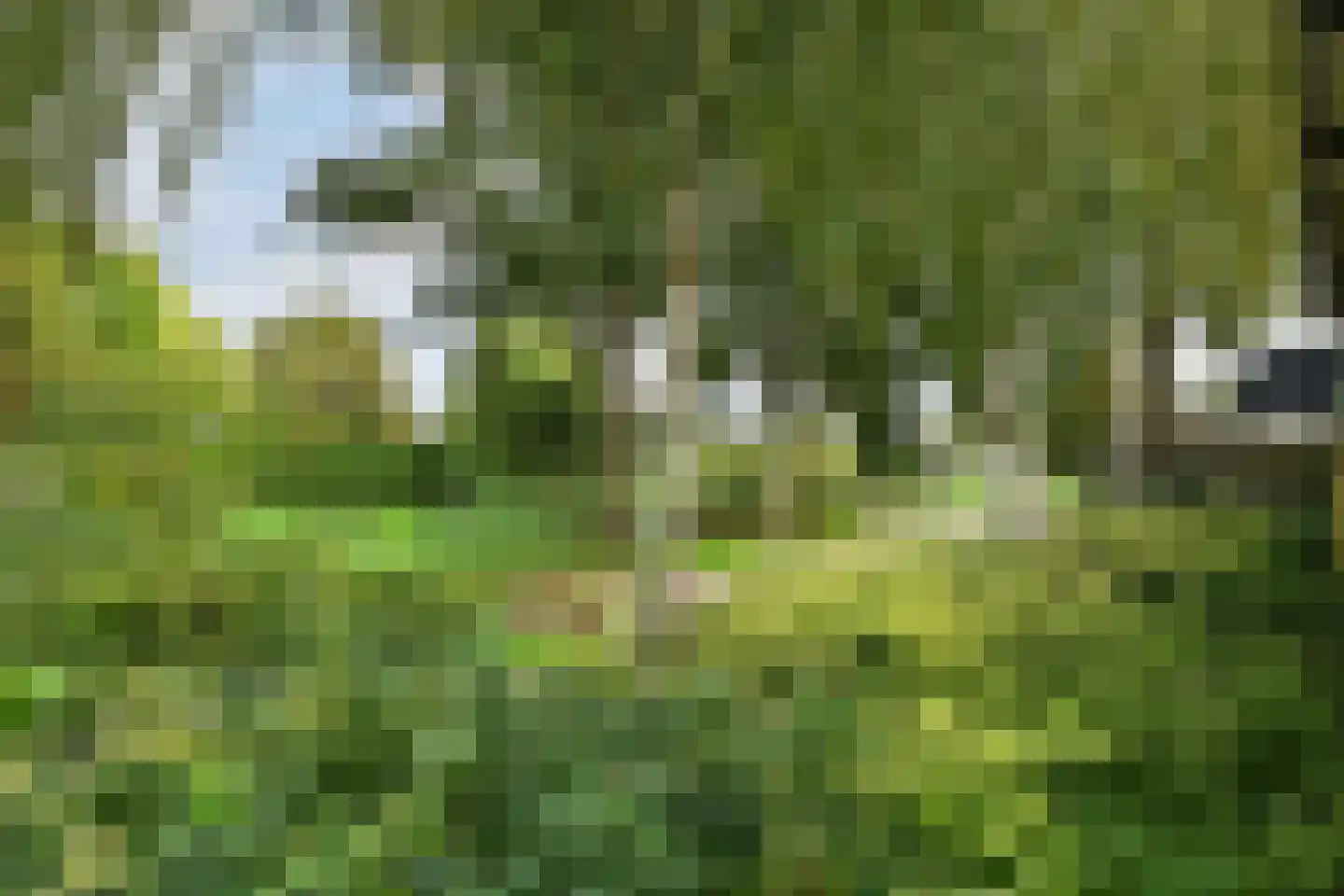 Kruispoort 23 a Steenbergen thumbnail 39