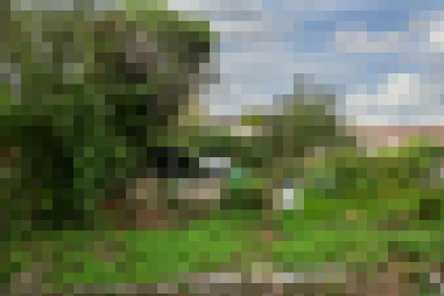 Kruispoort 23 a Steenbergen thumbnail 40