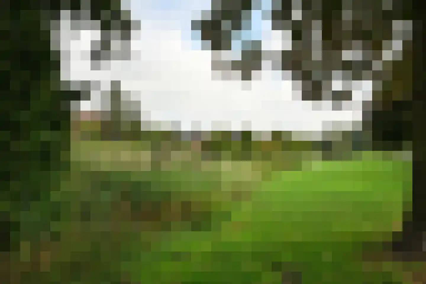 Kruispoort 23 a Steenbergen thumbnail 44