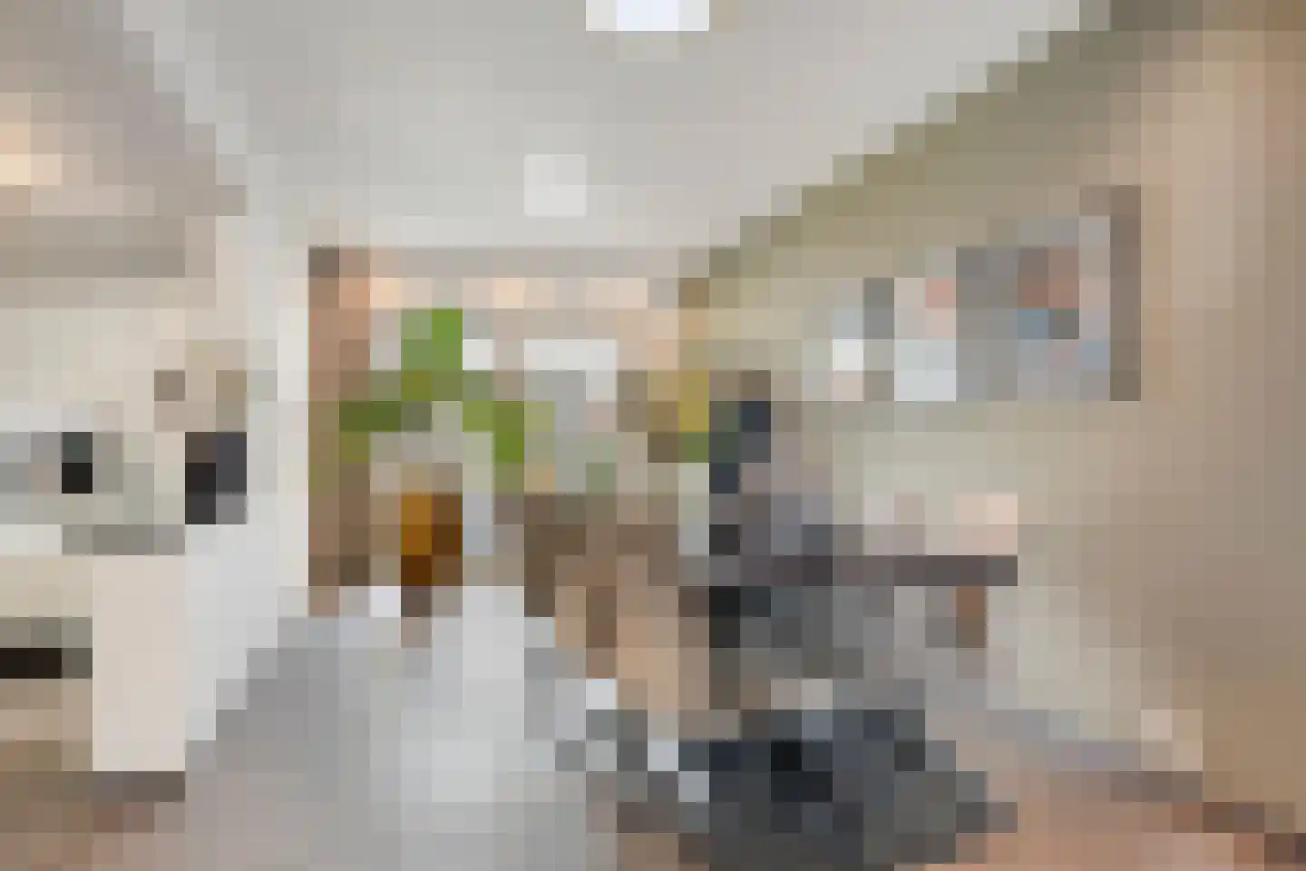 Kruissingel 27 Roggel thumbnail 12