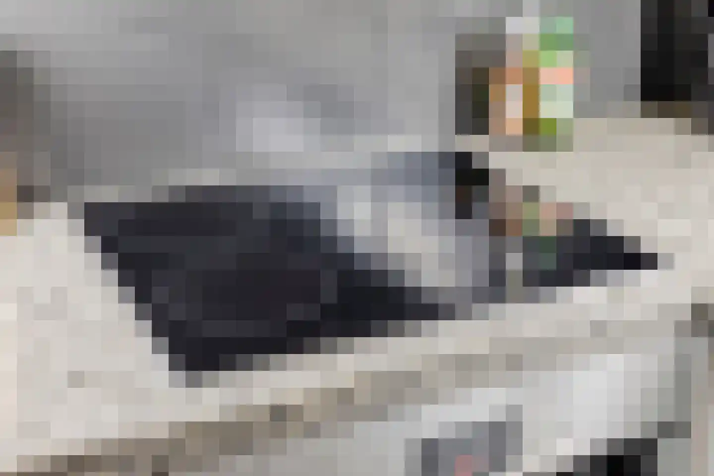 Kruissingel 27 Roggel thumbnail 20