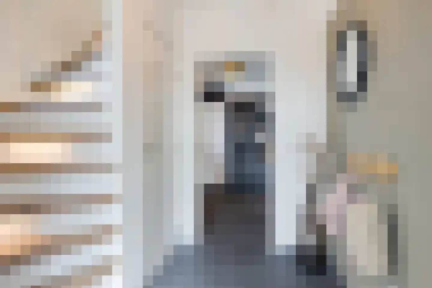 Kruissingel 27 Roggel thumbnail 5