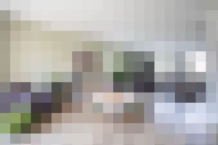Kruissingel 48 Roggel thumbnail 12
