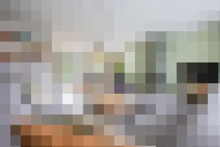 Kruissingel 48 Roggel thumbnail 16