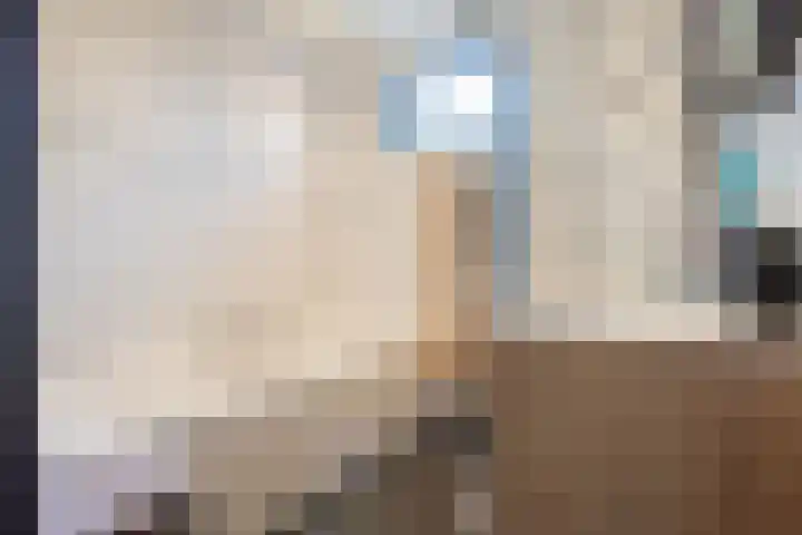 Kruissingel 48 Roggel thumbnail 19