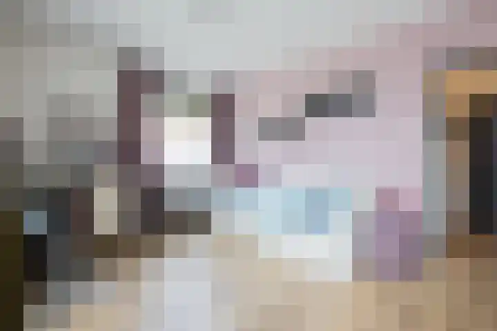 Kruissingel 48 Roggel thumbnail 21