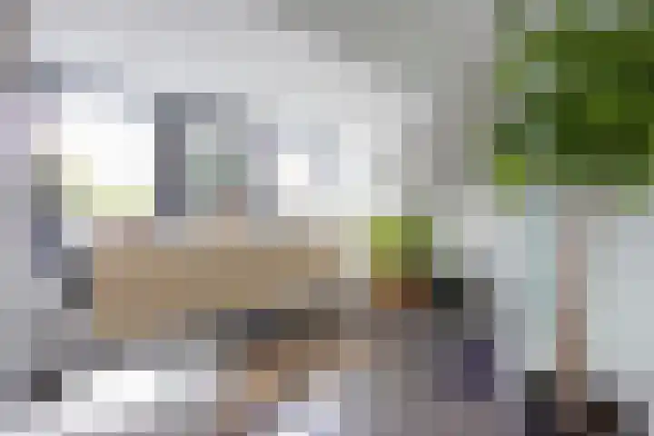 Kruissingel 48 Roggel thumbnail 27