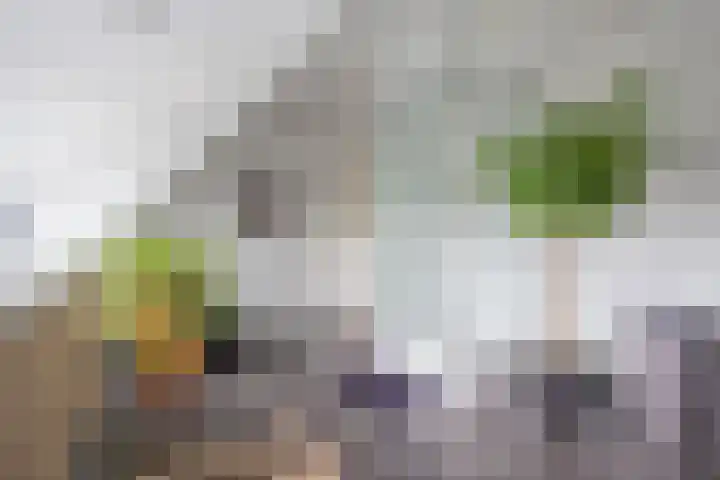 Kruissingel 48 Roggel thumbnail 28