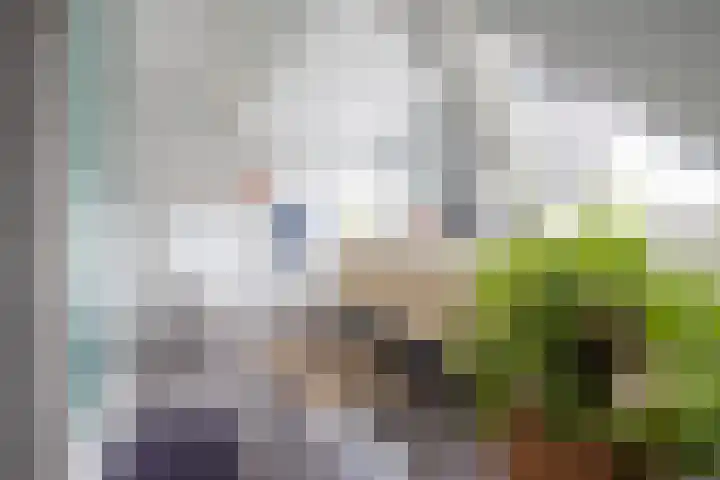 Kruissingel 48 Roggel thumbnail 29