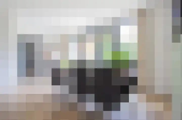 Kruissingel 48 Roggel thumbnail 4