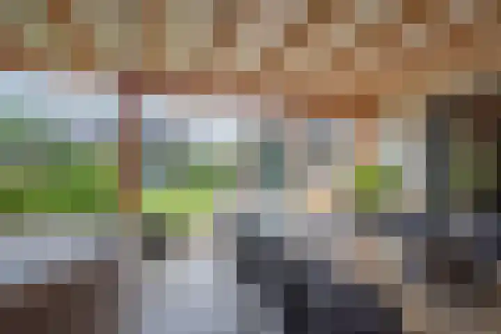 Kruissingel 48 Roggel thumbnail 43
