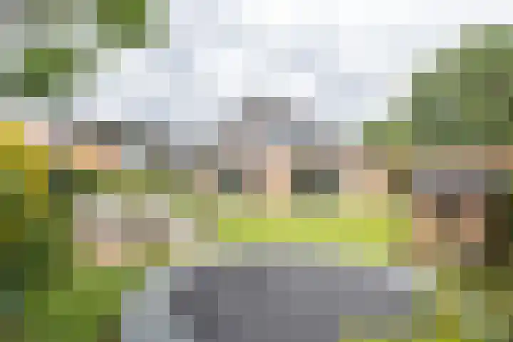 Kruissingel 48 Roggel thumbnail 44