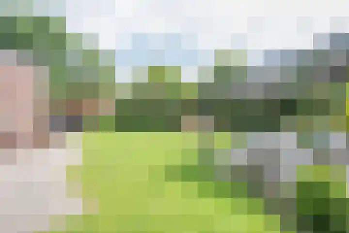 Kruissingel 48 Roggel thumbnail 47