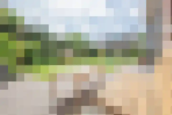 Kruissingel 48 Roggel thumbnail 51