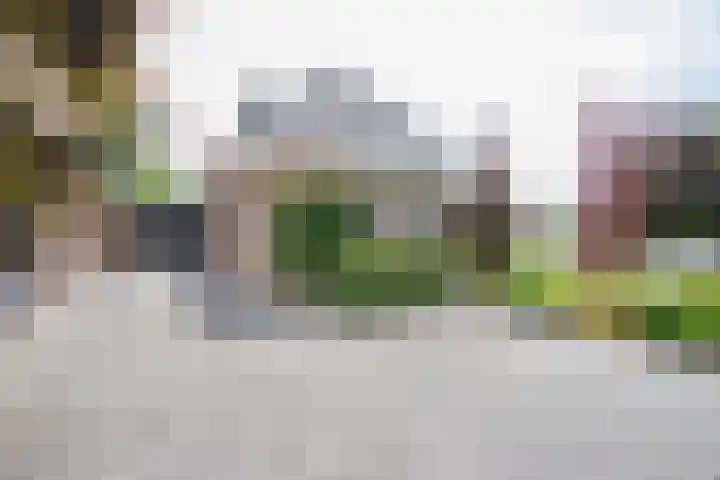 Kruissingel 48 Roggel thumbnail 54