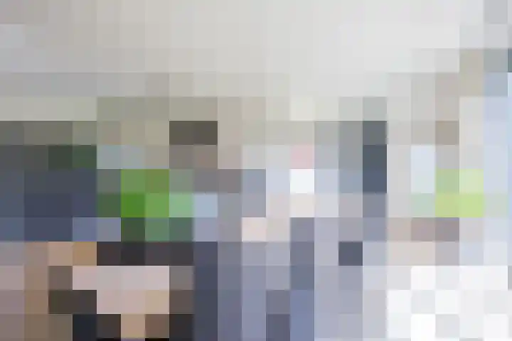 Kruissingel 48 Roggel thumbnail 6