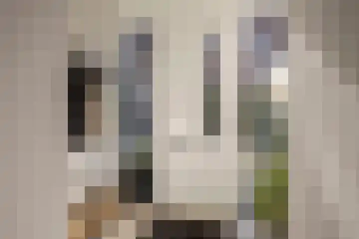 Kruisspin 46 Hengelo thumbnail 13