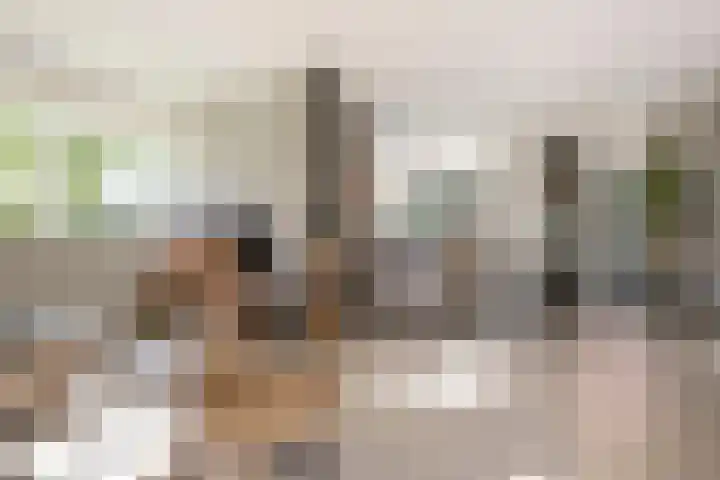 Kruisspin 46 Hengelo thumbnail 17
