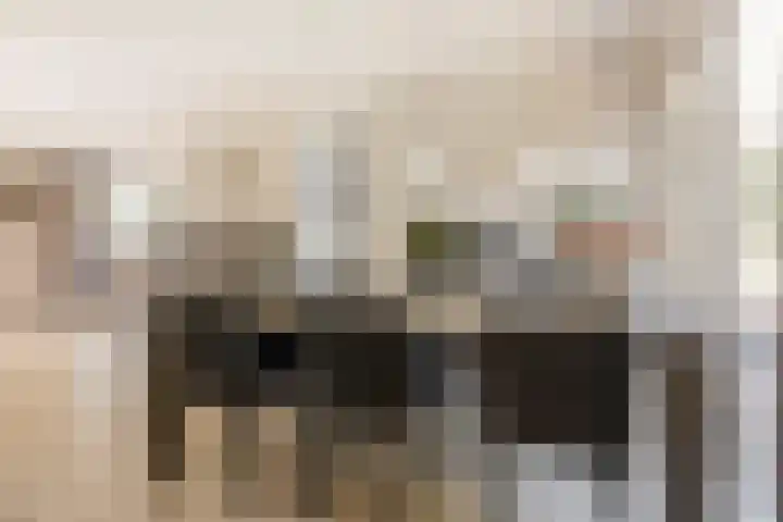 Kruisspin 46 Hengelo thumbnail 22