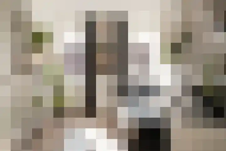 Kruisspin 46 Hengelo thumbnail 27
