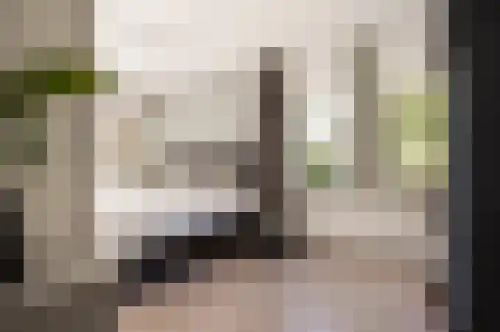 Kruisspin 46 Hengelo thumbnail 30