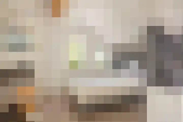 Kruisspin 46 Hengelo thumbnail 34