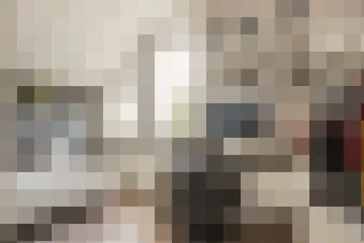 Kruisspin 46 Hengelo thumbnail 35