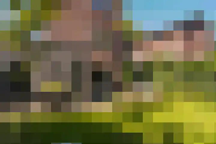 Kruisspin 46 Hengelo thumbnail 37