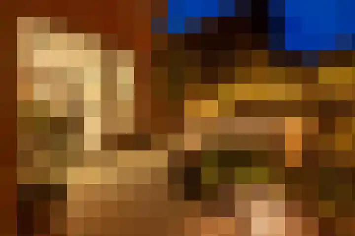 Kruisspin 46 Hengelo thumbnail 38