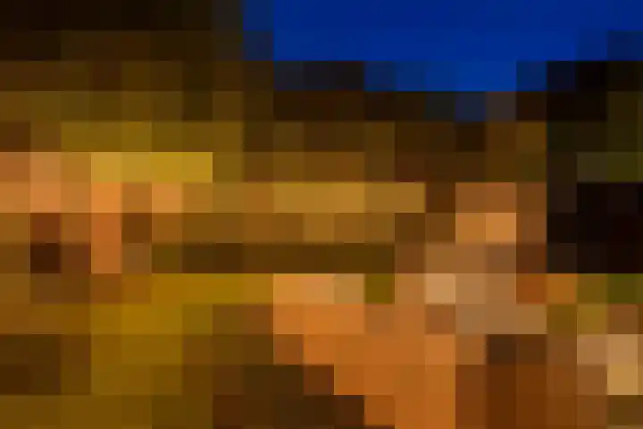 Kruisspin 46 Hengelo thumbnail 39